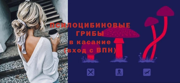 твердый Арсеньев
