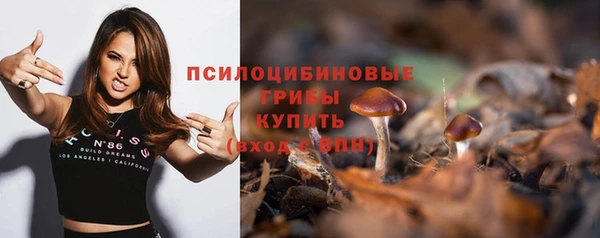 амф Аркадак