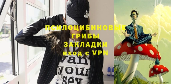 твердый Арсеньев